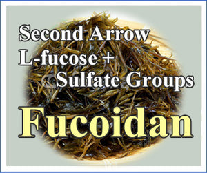 Second arrow L-fucose + Sulfate Groups  FUCOIDAN
